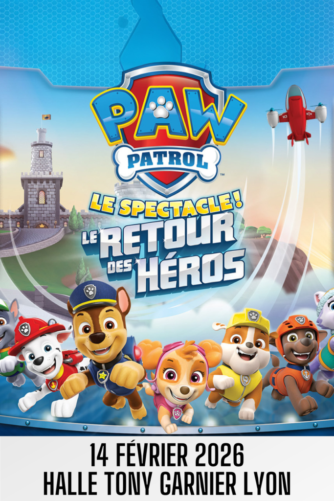 pat-patrouille-lyon
