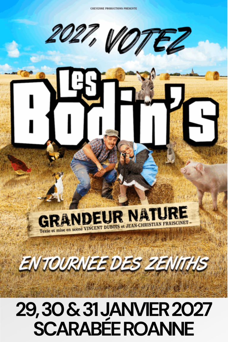 les-bodins-roanne