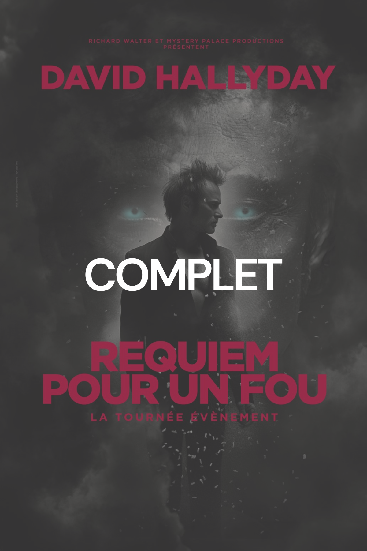 david hallyday complet